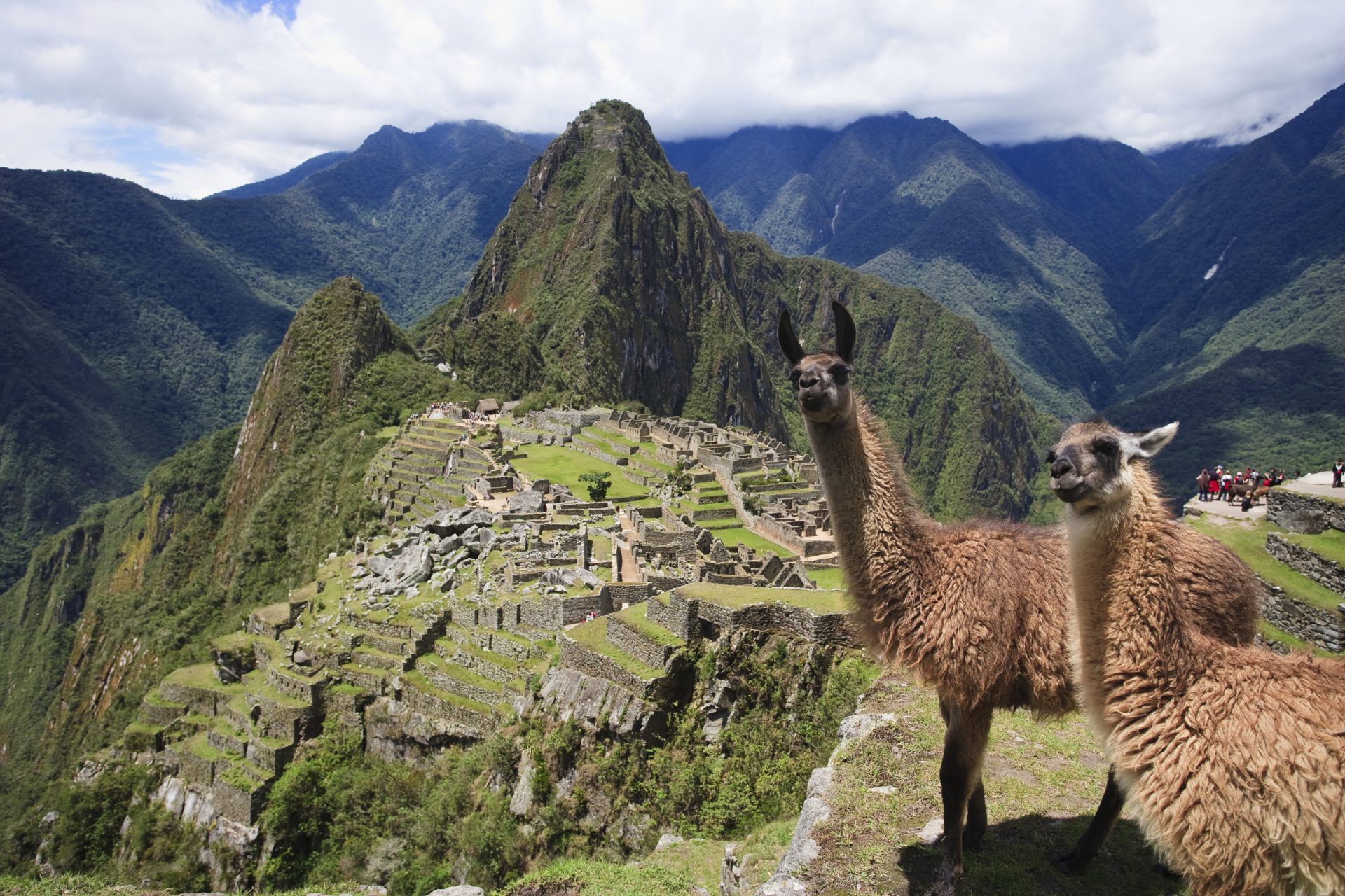 Pacchu PERU ESPECIAL | Paquetes de viaje y ofertas de viaje a todo el mundo ...